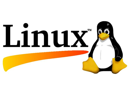 Cyber Skills - Linux Workshop