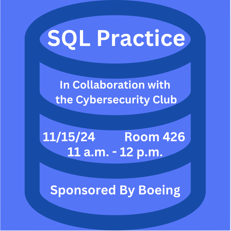 Cyber Skills Workshop - SQL Practice